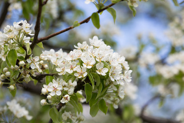 Similar image 20107607