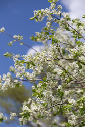 Similar image 20107647