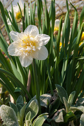 Similar image 20108854