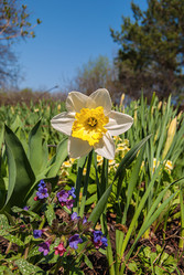 Similar image 20108855