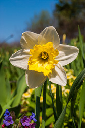 Similar image 20108856