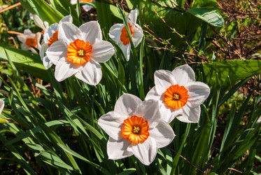 Similar image 20108857