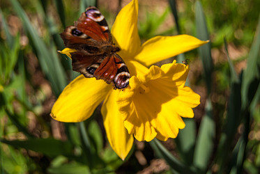 Similar image 20108917