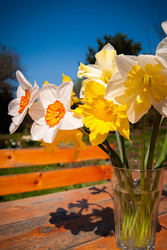 Similar image 20108929