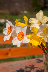 Similar image 20108935