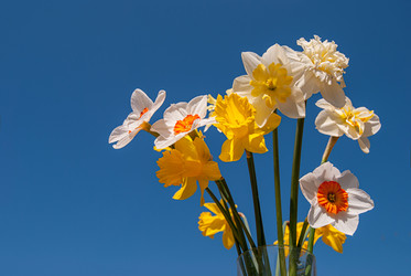 Similar image 20108734