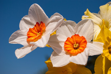 Similar image 20108736