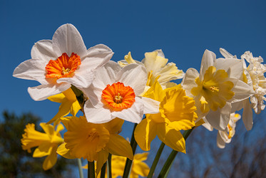 Similar image 20108737