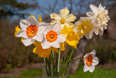 Similar image 20108738