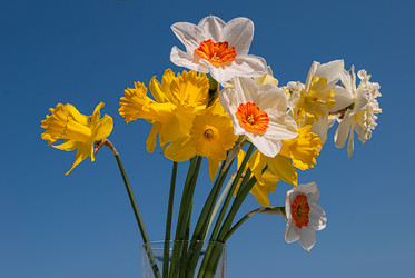 Similar image 20108739