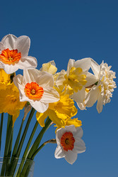 Similar image 20108756