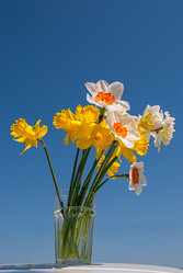 Similar image 20108774