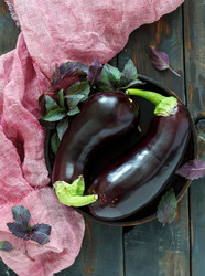 Similar image 19946666