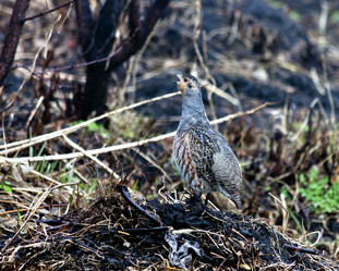 Similar image 20076360