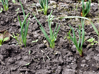 Similar image 20076363