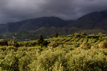 Similar image 20110325