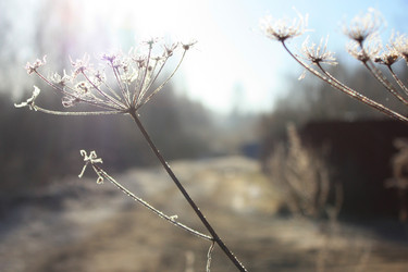 Similar image 20058194