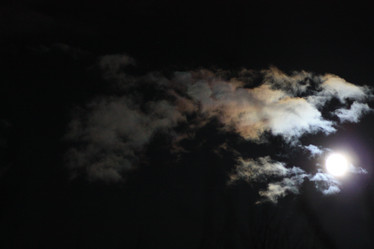 Similar image 20058195