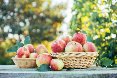 Similar image 20071834