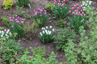 Similar image 20081483