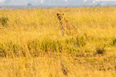 Similar image 20121438