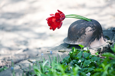 Similar image 20112303