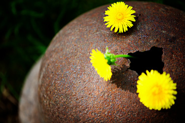 Similar image 20112308