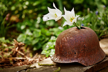 Similar image 20112309