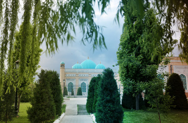 Similar image 20160896