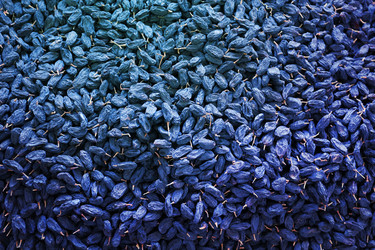 Similar image 20161044