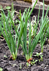 Similar image 20083238