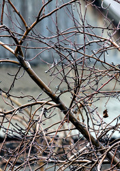 Similar image 20083241