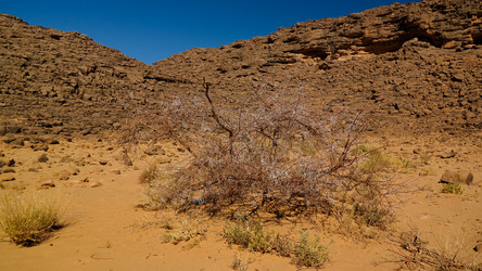 Similar image 20157840