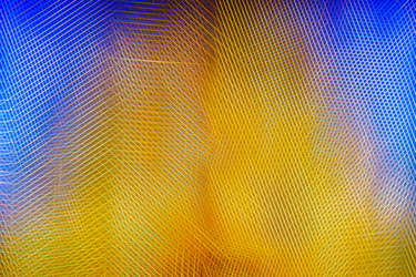 Similar image 20108863