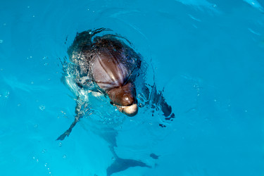 Similar image 20112876