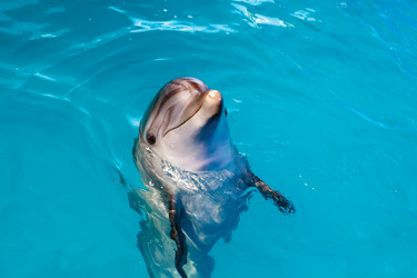 Similar image 20112893