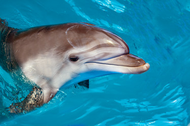 Similar image 20112900