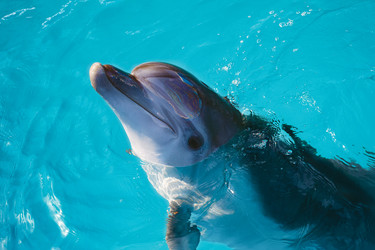 Similar image 20112840