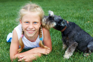 Similar image 20112845