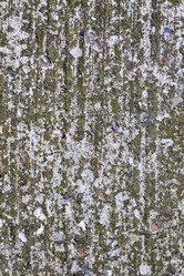 Similar image 20107738