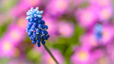 Similar image 20113865