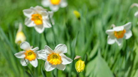 Similar image 20113867