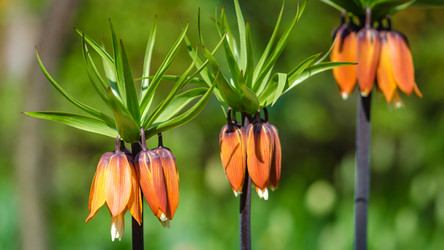 Similar image 20113868