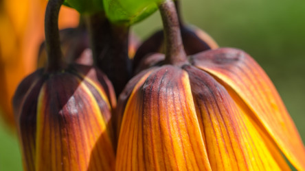 Similar image 20113869