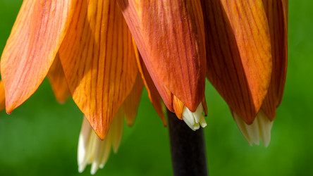 Similar image 20113870