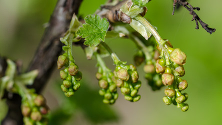 Similar image 20113871