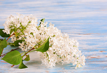 Similar image 20112315