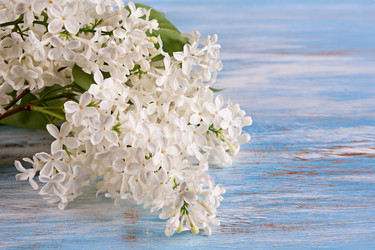 Similar image 20112322