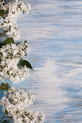 Similar image 20112327