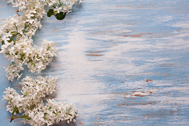 Similar image 20112381